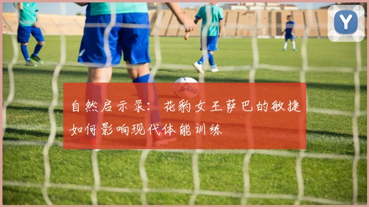 自然启示录：花豹女王萨巴的敏捷如何影响现代体能训练