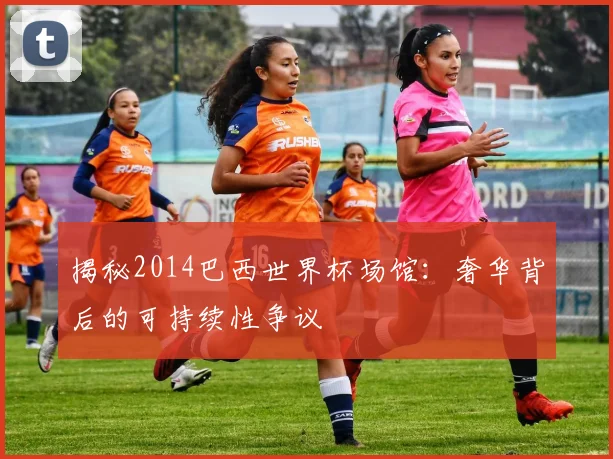 揭秘2014巴西世界杯场馆:奢华背后的可持续性争议